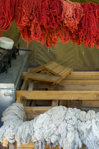 naturally dyed wool dyed with madder root hangs to dry in himachal pradesh india