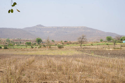 landscape of the narmada valley madhya pradesh