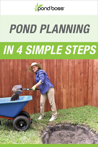 Pond planning in 4 simple steps
