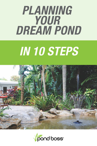 Planning your Dream Pond in 10 Steps