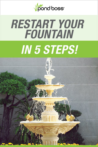 5 Steps to restarting your fountain