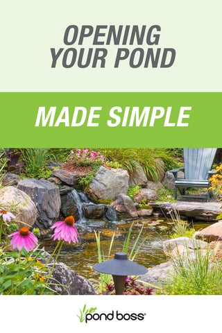 Opening Your Pond