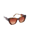 Ceasar Sunglasses Brown