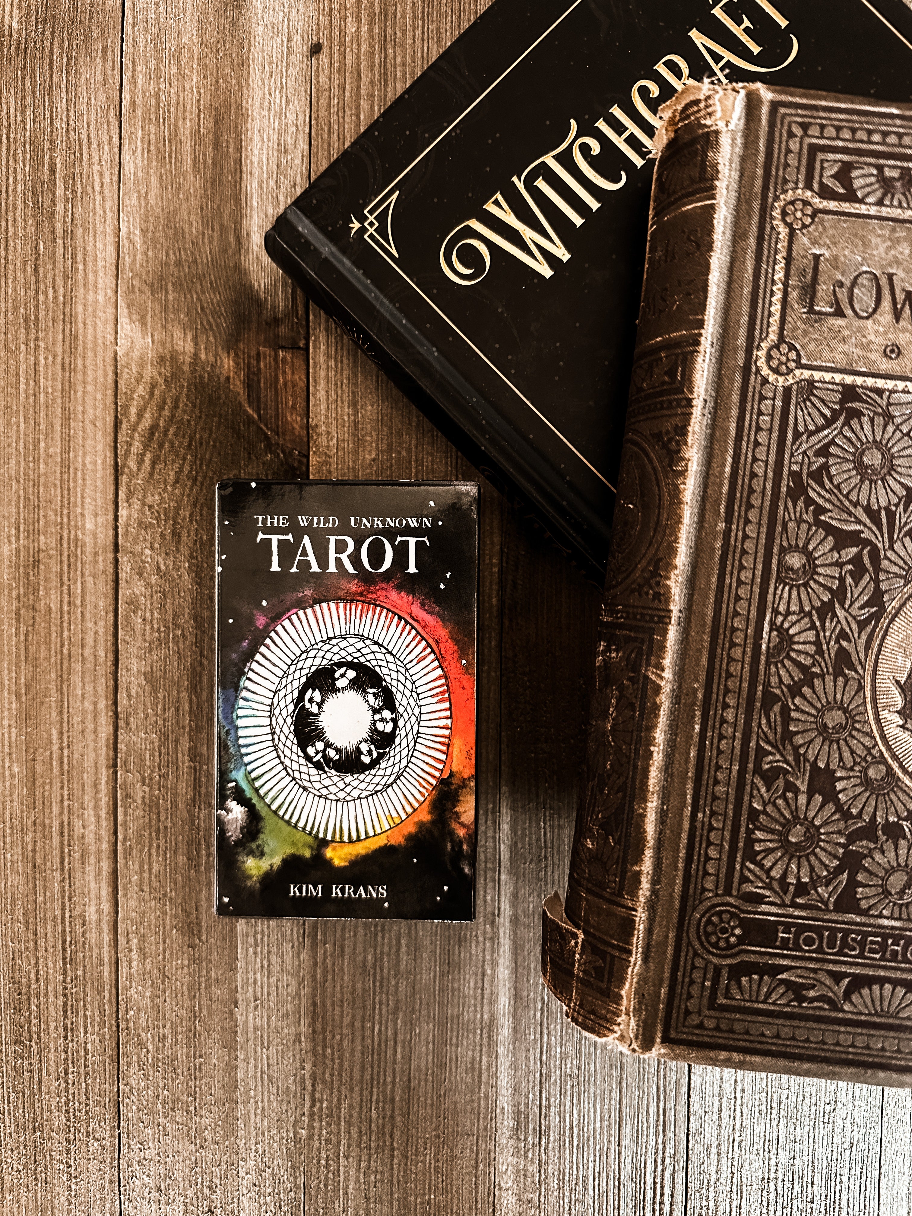 The Wild Unknown Tarot Cards