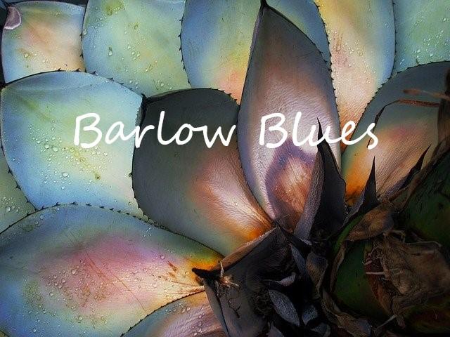 Barlow Blues