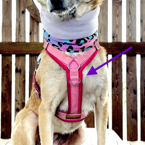 Hundegeschirr mit Brustring