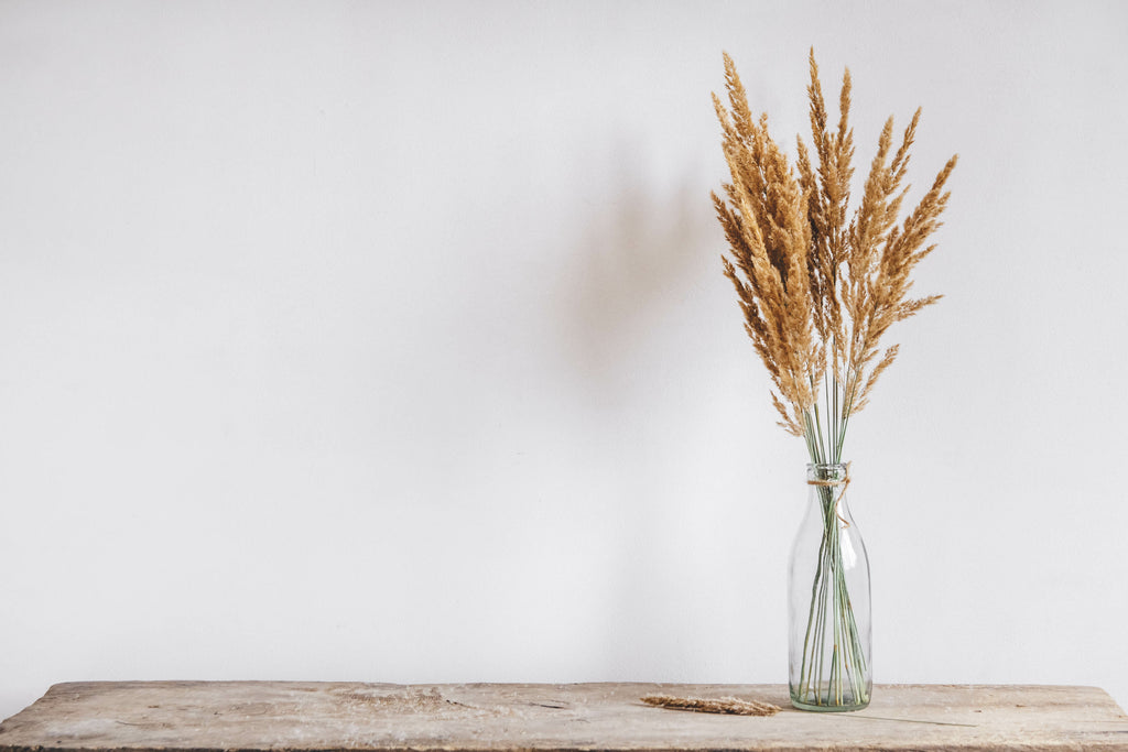 photo of dried wheat in a vase