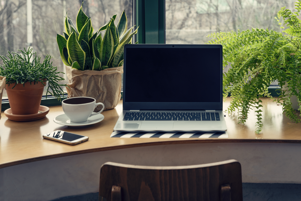 Photo of a desk with plants