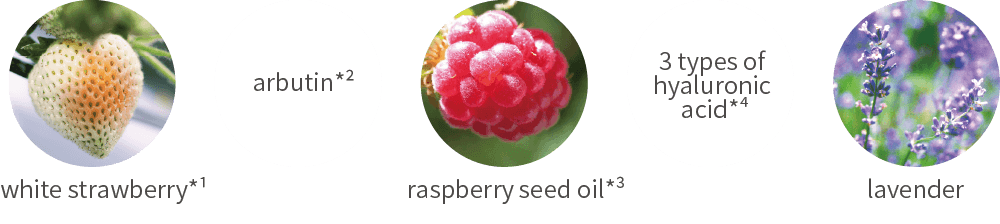 White strawberry, arbutin, raspberry seed oil, 3 types of hyaluronic acid, lavender