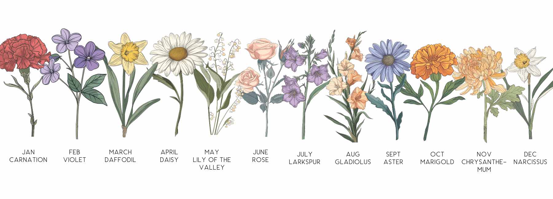 birth flowers by month