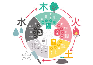 陰陽五行説など東洋学の基礎が学べる