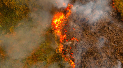 Wildfire risk management solutions