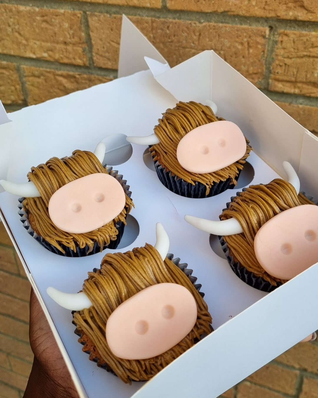 Lotus biscoff cupcakes with biscoff buttercream. Topped with a lotus biscuit and drizzled with biscoff sauce