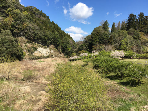 松原伸生さんの工房は、自然豊かな千葉県君津市の山間 　松原伸生　長板中形