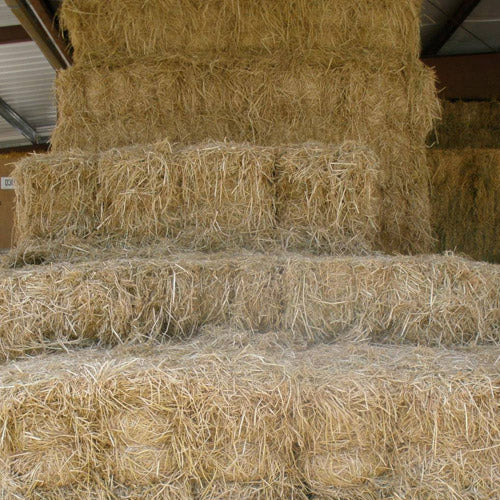 photo of our hay department