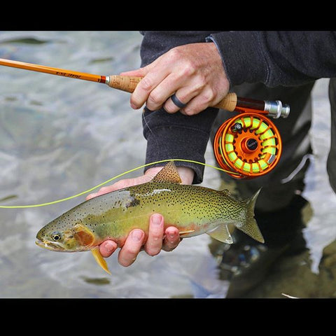 Class - Introduction To Fly Fishing – Creekside Angling Company