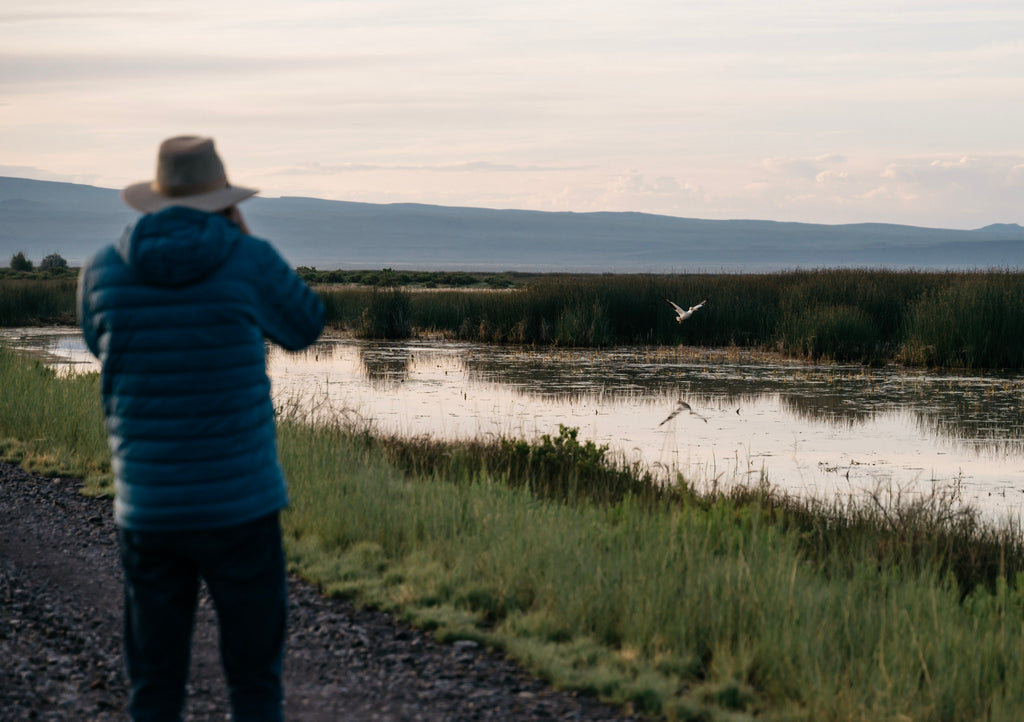 Bird watching at Summer Lake Wildlife Area