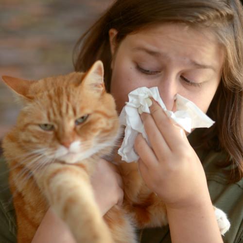 Woman covering her nose with a tissue holding an orange cat