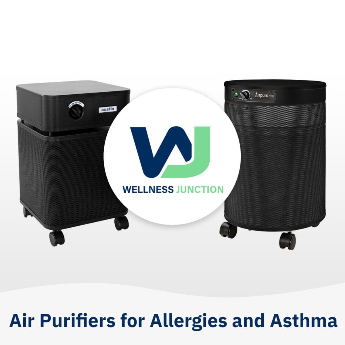 Air Purifiers for Allergies and Asthma