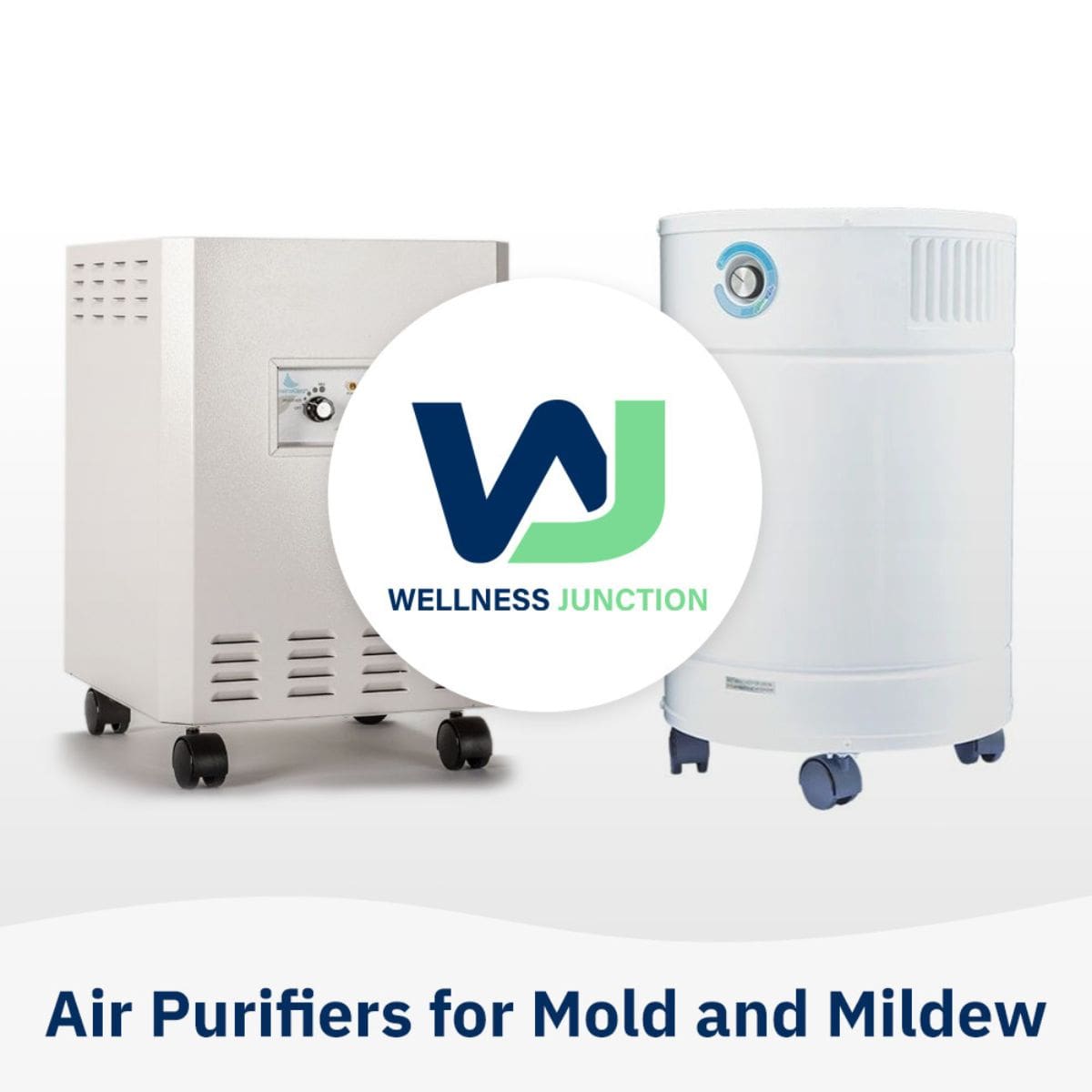 Air Purifiers for Mold and Mildew