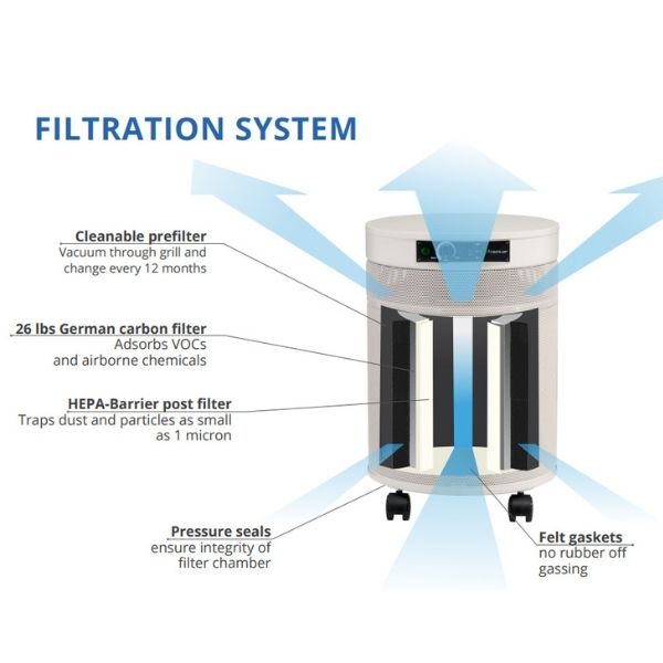 Airpura G600 DLX Odor-free for Chemically Sensitive (MCS) Air Purifier Filtration System