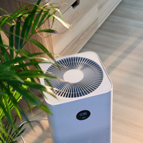 Overhead view of an air purifier in a room with a green plant on the left side