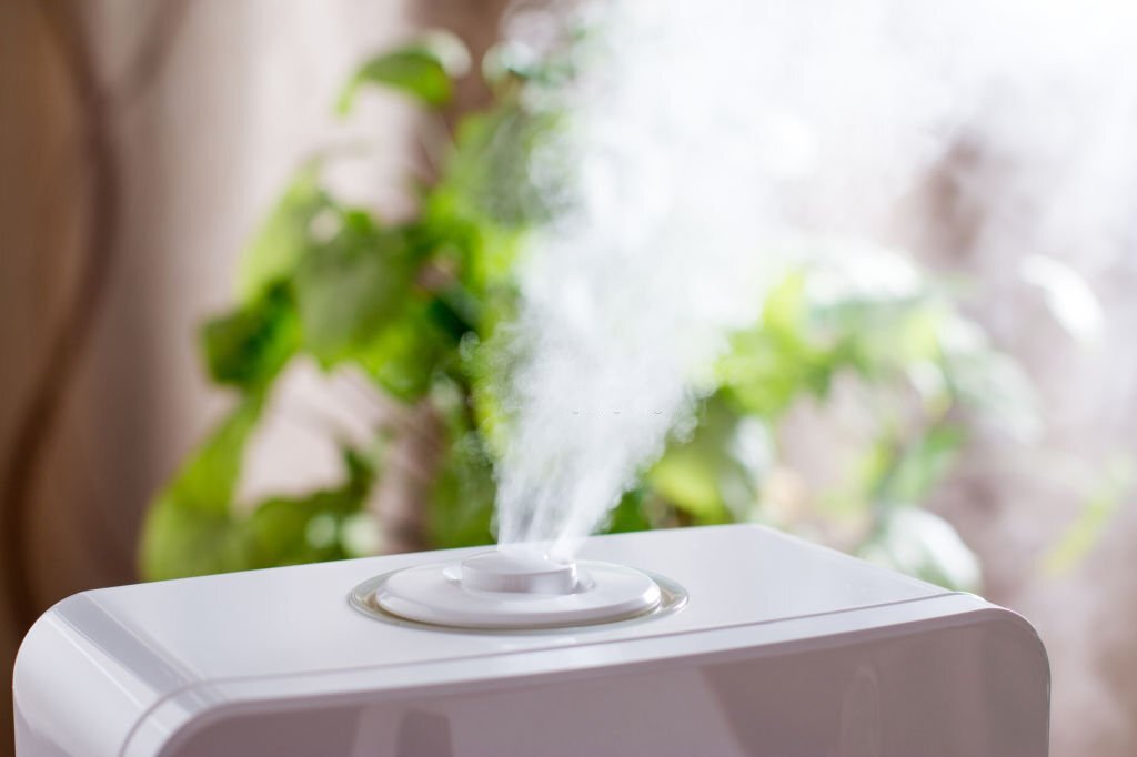 best air purifier for birds - humidifier blowing moisture into the air