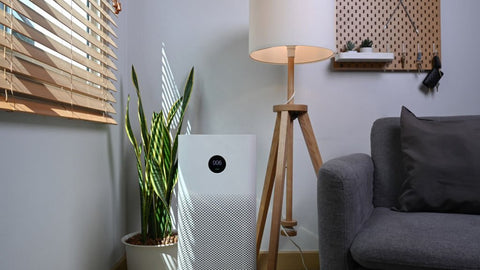 Sleek air purifier next to a green houseplant and a wooden floor lamp in a well-decorated room, illustrating how to use an air purifier at home