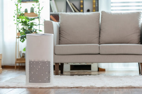 White portable air purifier featuring UV light on a cozy living room rug, with houseplants and a couch in the background
