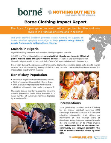 Borne Impact Report Image