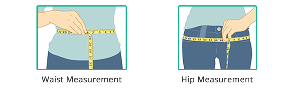 hip and waist measurements