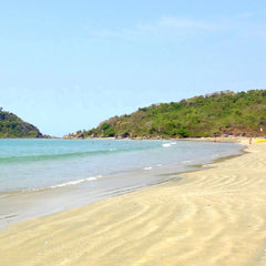 the splendid beaches of Goa