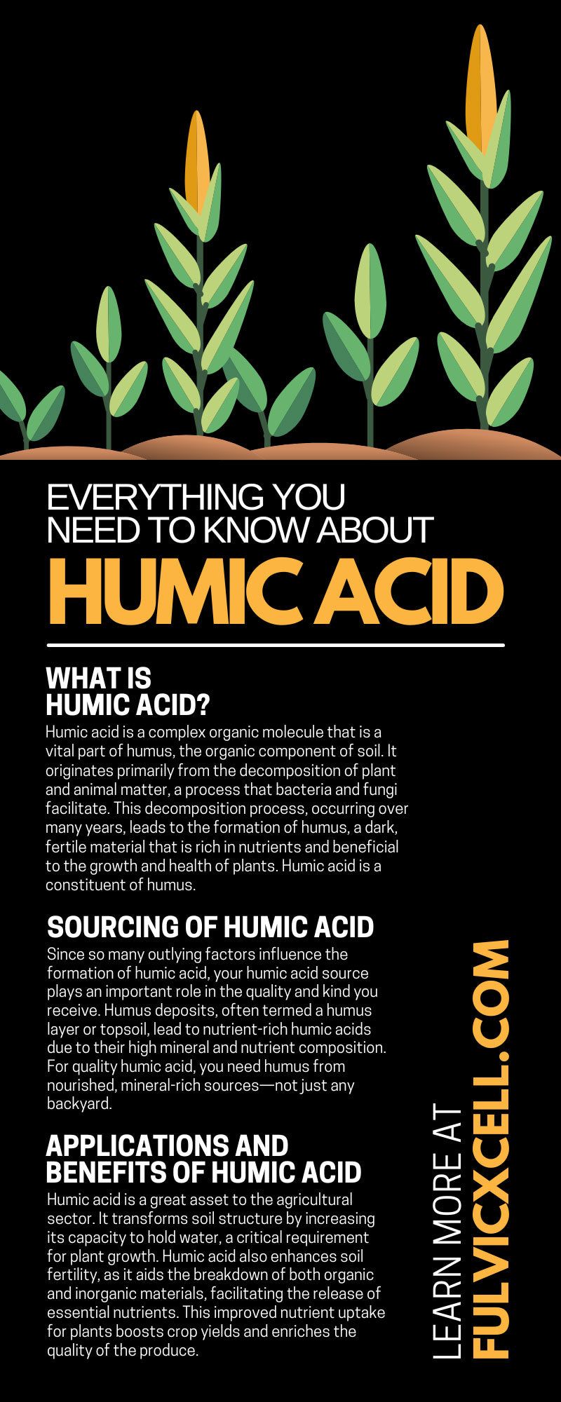 Everything You Need To Know About Humic Acid