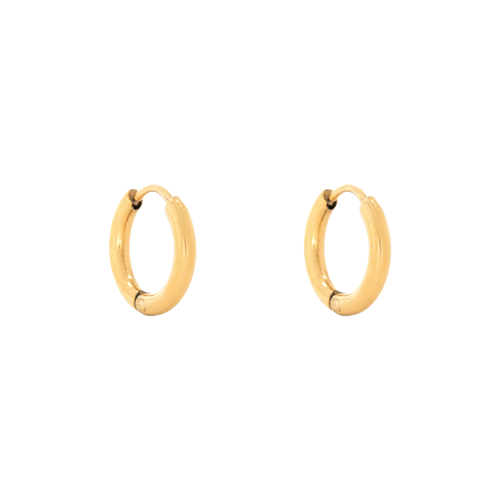Huggie Hoop Earrings (6581373370481)