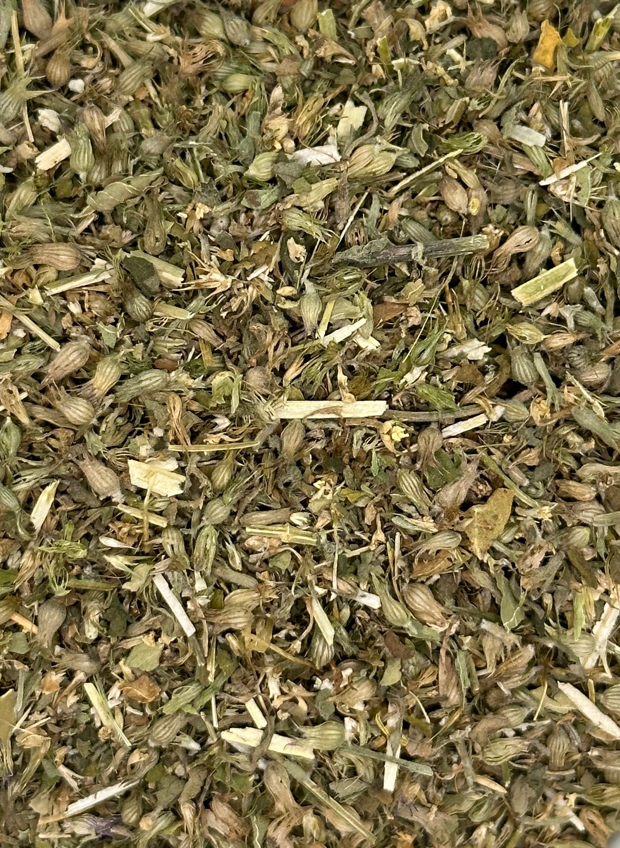 Catnip