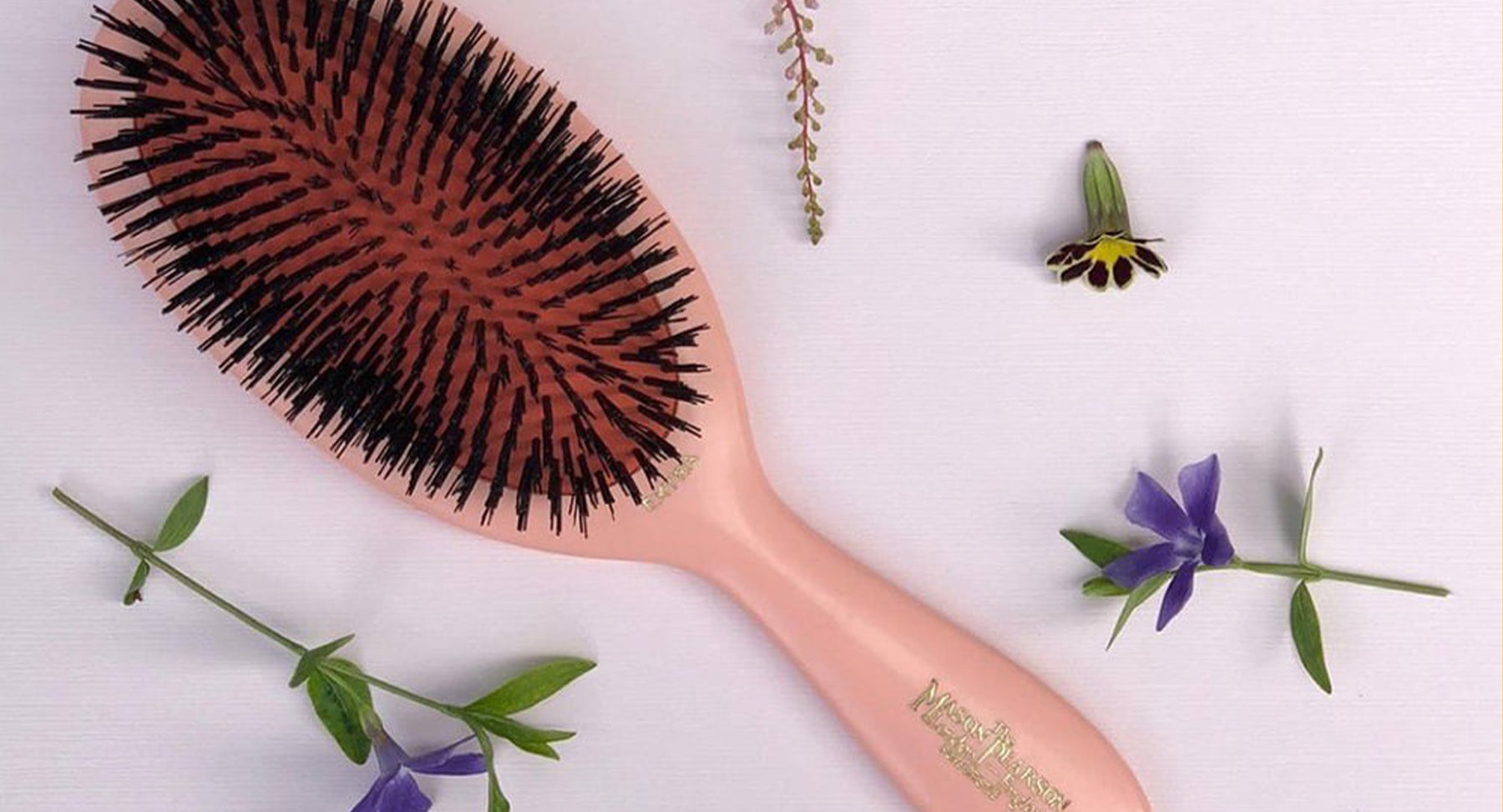 Extra\' Pure Pearson Bristle Buy Health Mason Click & \'Large Boar Beauty Hairbrush B1 –