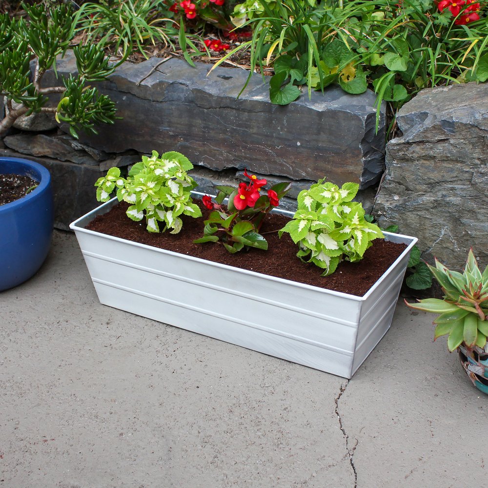 Medium White Bloom Box Garden Growing Kit with Clamp-On Brackets – A Versatile and Stylish Gardening Solution