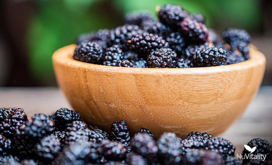 Black Mulberry Fruit