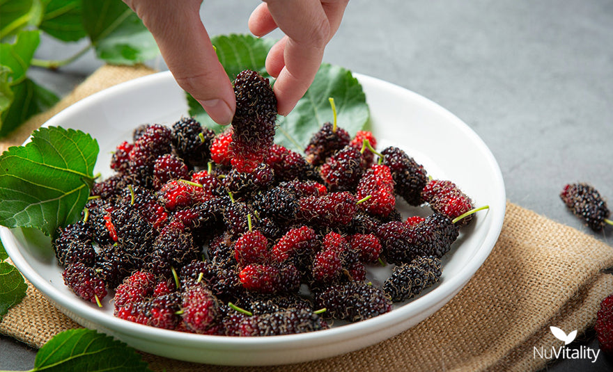 Eating Mulberry Fruit