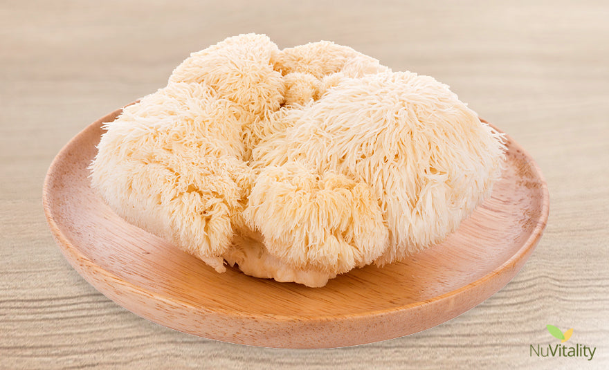 Lions Mane Mushroom