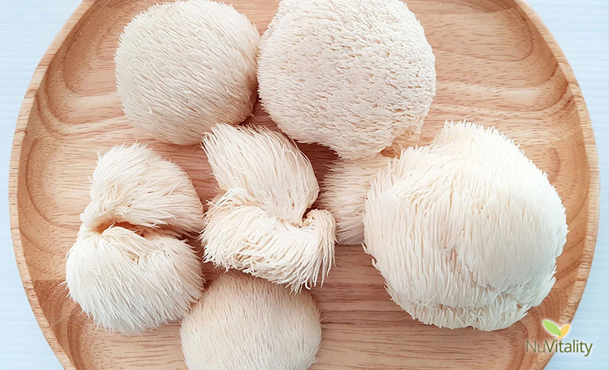 Lion's Mane Mushrooms