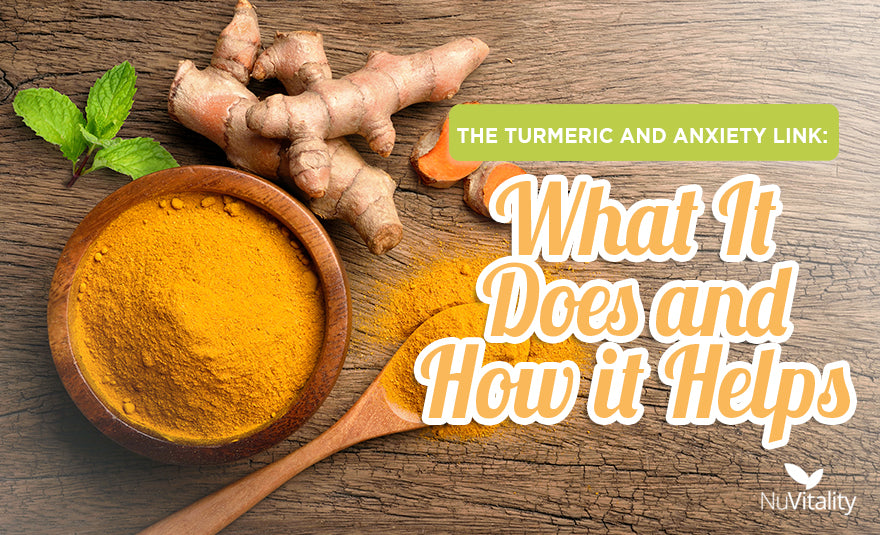 Turmeric Anxiety Link