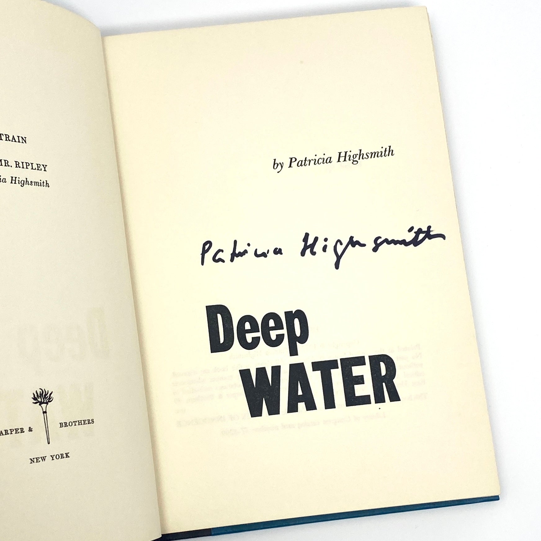 deep water highsmith novel book review