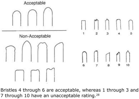 end-rounding quality of bristles. 10 bristle shapes, of which 4 to 6 bristle shapes are acceptable