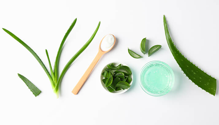 The Benefits of Aloe Vera Products for Skin article