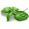 How to use basil essential oil