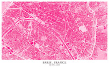 Load image into Gallery viewer, Paris - Raspberry Edition - Tapestry Maps
