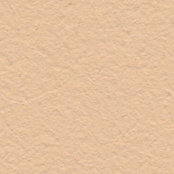 041 Beige Rose