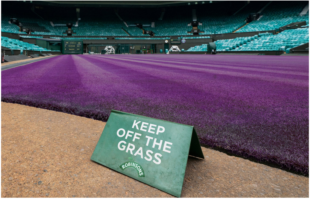 Wimbledon turns purple