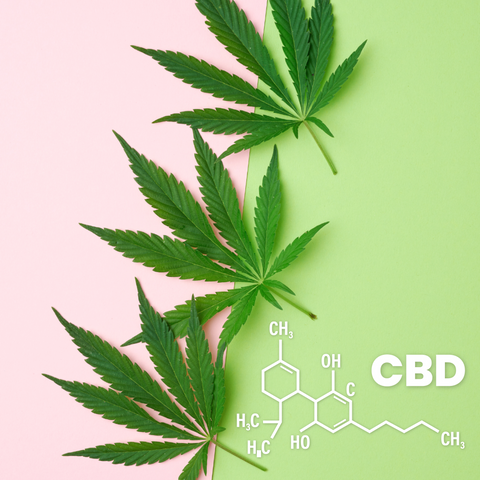 Three hemp plant leaves on a pink and green background with the molecular formula for CBD